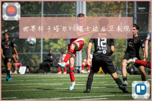 世界杯卡塔尔vs瑞士边后卫表现