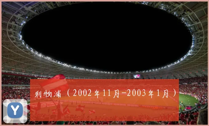 利物浦（2002年11月-2003年1月）