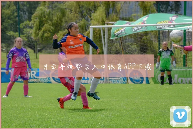 开云手机登录入口体育APP下载
