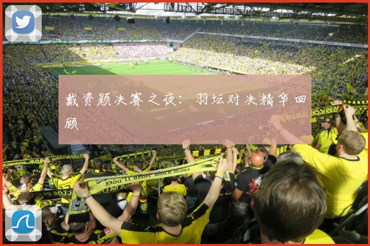 戴资颖决赛之夜:羽坛对决精华回顾