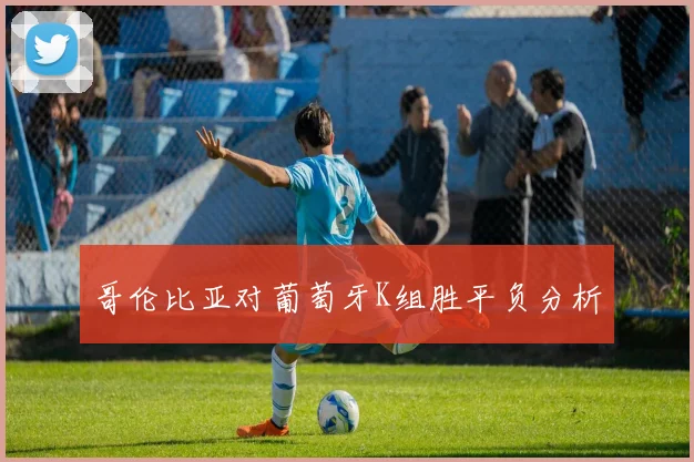 哥伦比亚对葡萄牙K组胜平负分析