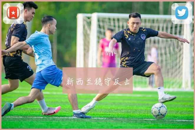 新西兰稳守反击
