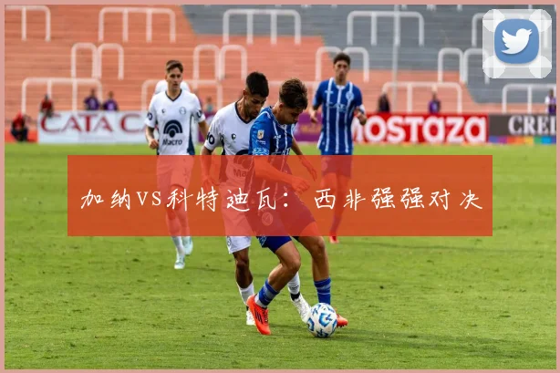 加纳vs科特迪瓦:西非强强对决