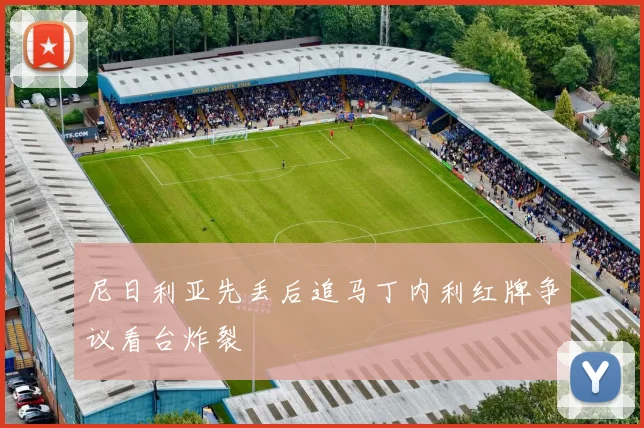 尼日利亚先丢后追马丁内利红牌争议看台炸裂
