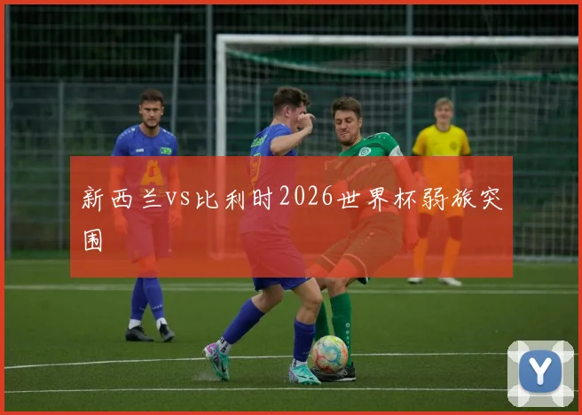 新西兰vs比利时2026世界杯弱旅突围
