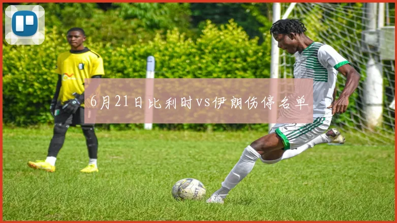 6月21日比利时vs伊朗伤停名单