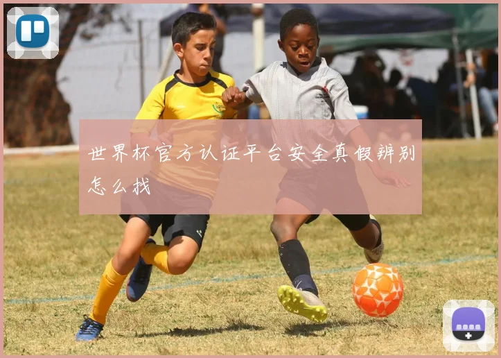 世界杯官方认证平台安全真假辨别怎么找