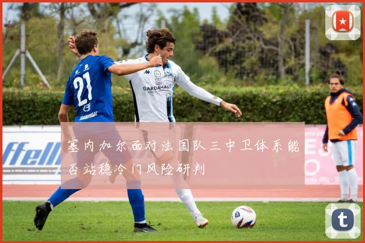 塞内加尔面对法国队三中卫体系能否站稳冷门风险研判