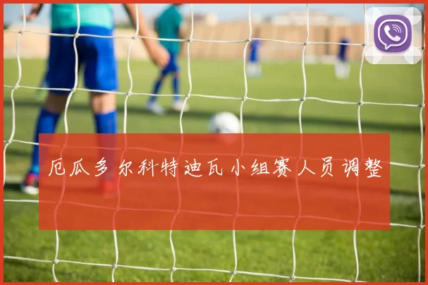 厄瓜多尔科特迪瓦小组赛人员调整